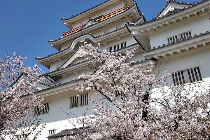 Hiroshima Luxurious Private Tour — Miyajima & Peace Park in One Day photo 4