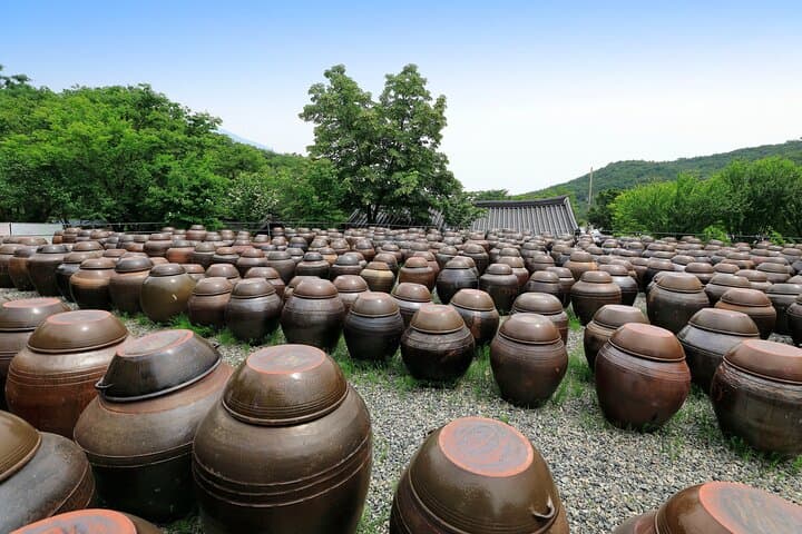Savor Busan: Makgeolli Workshop, Tongdosa Temple & Blue Line Café Views photo 2