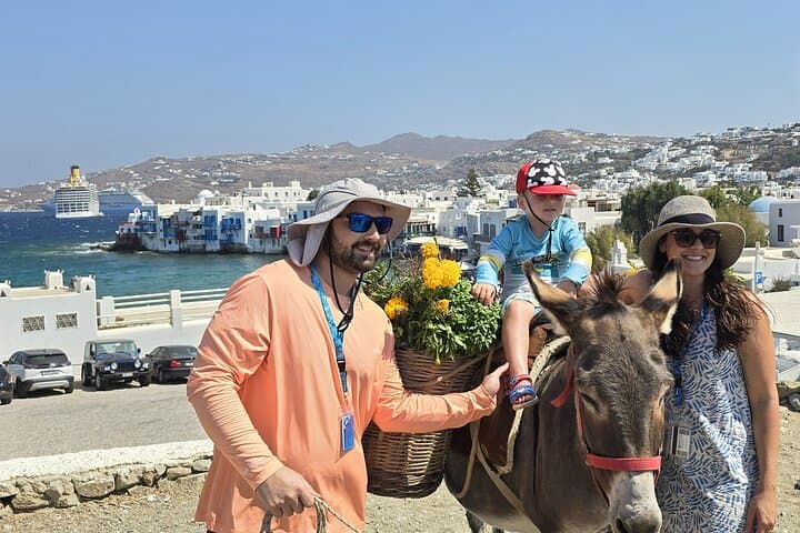 Private Mykonos Minibus Tour: Ano Mera, Armenistis Lighthouse & Hidden Beaches photo 5