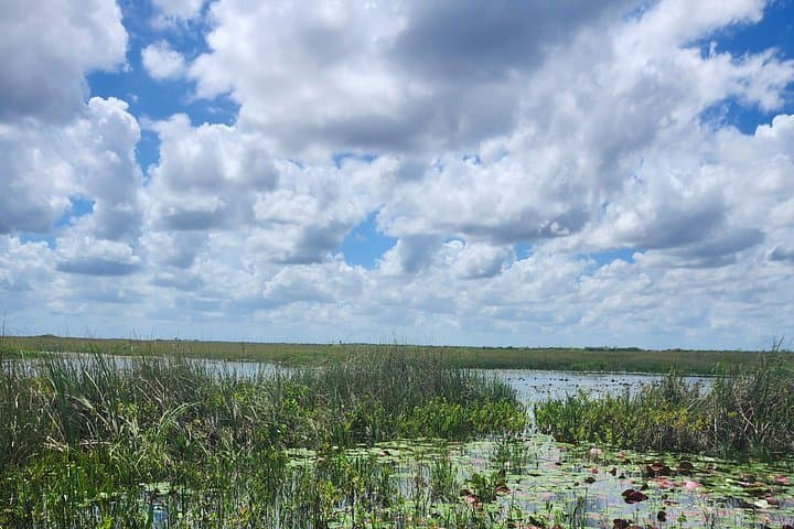 Everglades Eco Airboat Tour: Miccosukee Islands & Small-Group Wetlands Ride photo 3