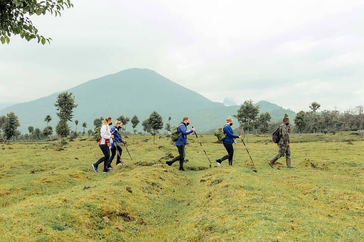 5-Day Volcanoes National Park & Lake Kivu Adventure — Gorilla Trekking and Golden Monkeys