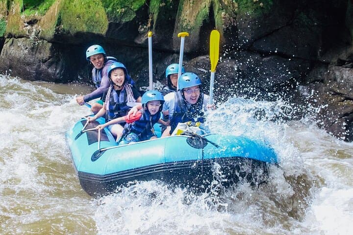 Ayung River Rafting and Ubud Monkey Forest Full-Day Trip photo 5