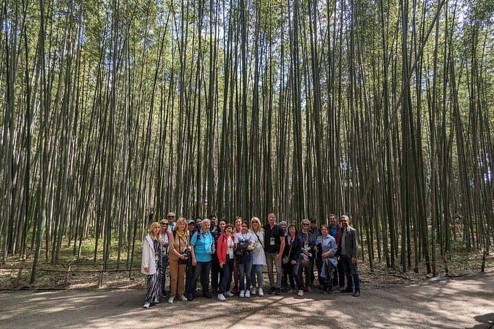 Private Arashiyama Bamboo Forest Walking Tour — Guided Kyoto Experience photo 5