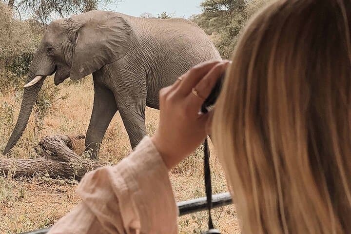 3-Day Safari: Manyara, Ngorongoro Crater & Tarangire Highlights