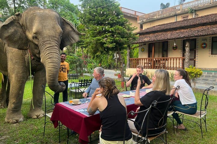 2-Night Chitwan Safari: Jeep, Canoe & Tharu Culture photo 5