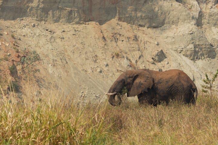 Tarangire National Park Day Safari: Elephants, Baobabs & Practical Tips photo 6