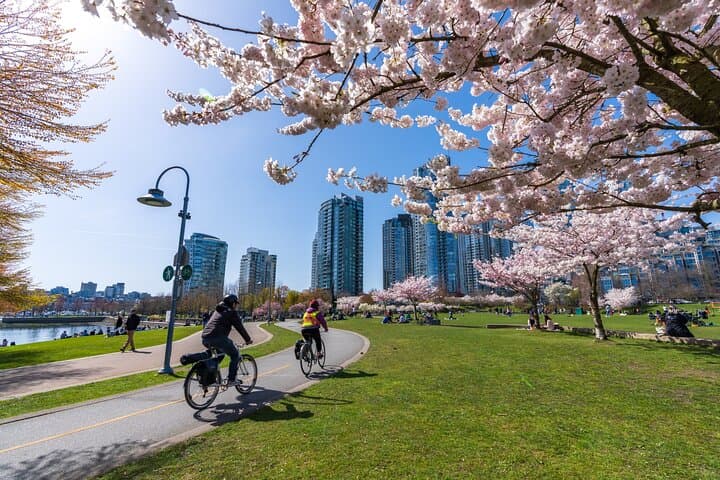 Private Vancouver City Tour: Granville Island, Chinatown & Capilano
