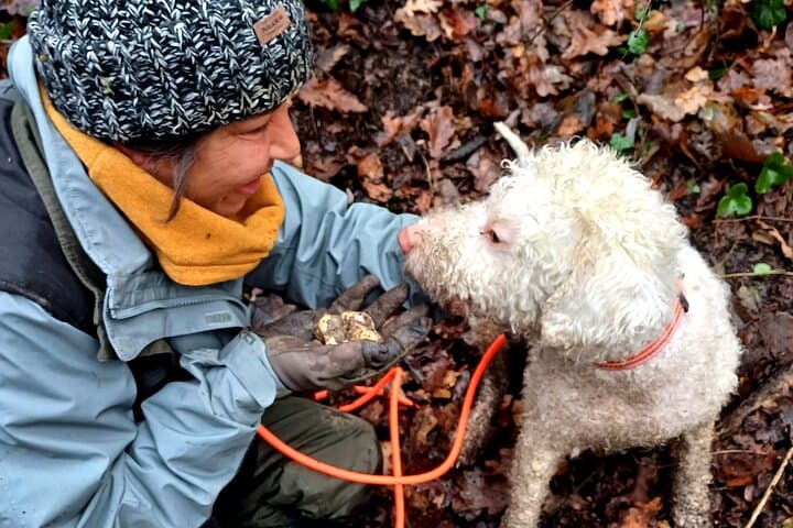 Truffle Hunting Near Turin: Hands-On Piedmont Foraging & Trattoria Lunch