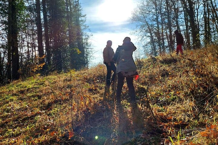 Truffle Hunting Near Turin: Hands-On Piedmont Foraging & Trattoria Lunch photo 2