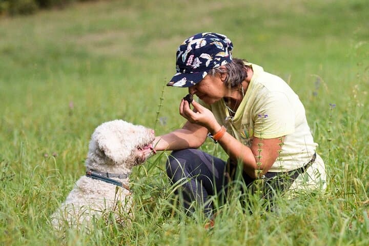 Truffle Hunting Near Turin: Hands-On Piedmont Foraging & Trattoria Lunch photo 6