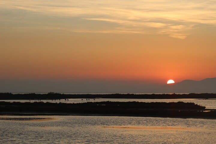 Sunset Among Flamingos in the Ebro Delta — Trabucador Guided Evening Birdwalk photo 3