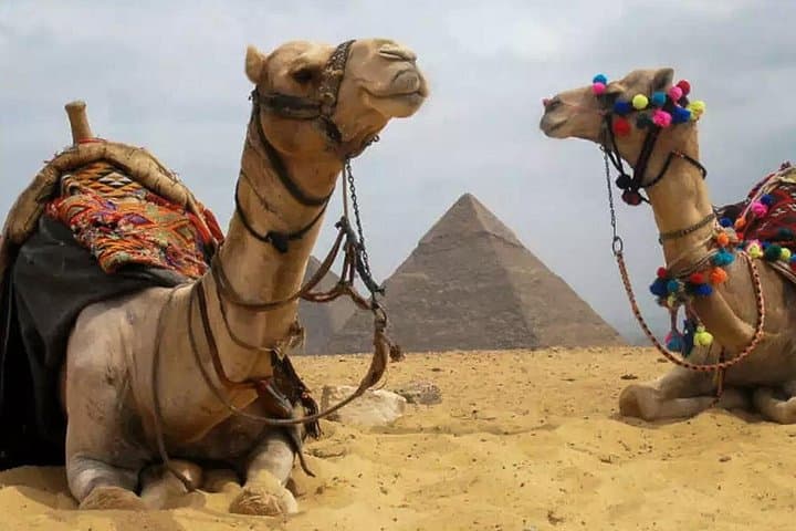 VIP Giza Pyramids Day Tour: Camel Ride, Egyptian Museum & Khan al-Khalili photo 2