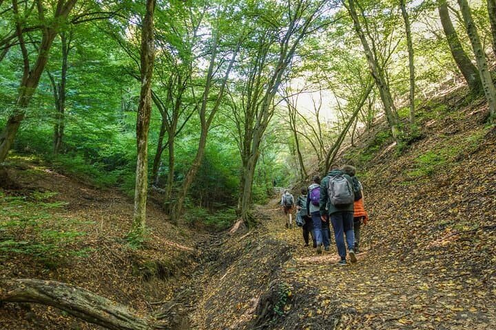 Danube Bend Hiking and Kayaking Day Trip from Budapest photo 3