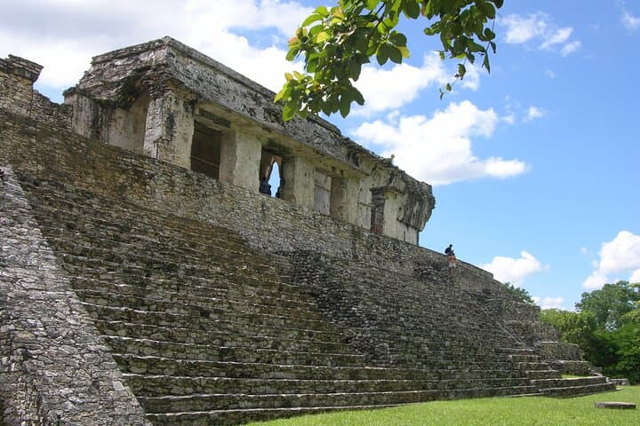 Palenque Maya Ruins and Roberto Barrios Waterfalls: Ancient Temples and Turquoise Pools photo 6