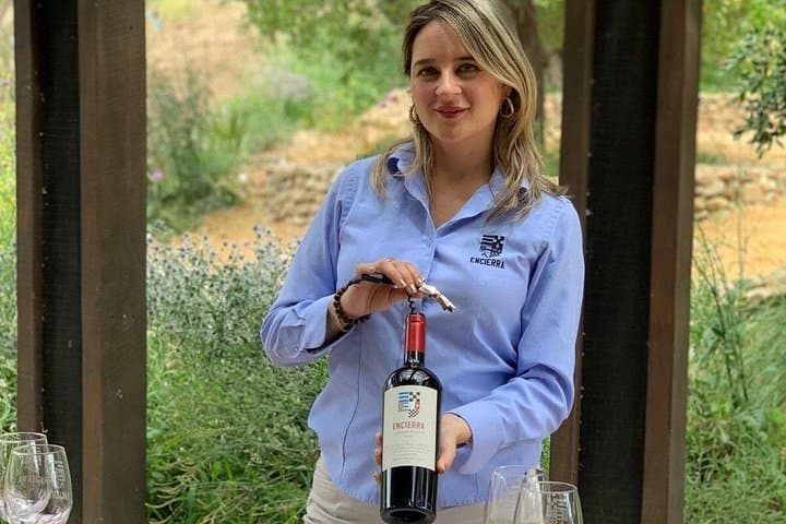 Private Boutique Wine Tasting at Encierra Vineyard Near Santiago photo 3