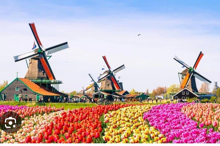 Zaanse Schans Windmills & Volendam Day Tour — Cheese Factory, Crafts and Countryside photo 1