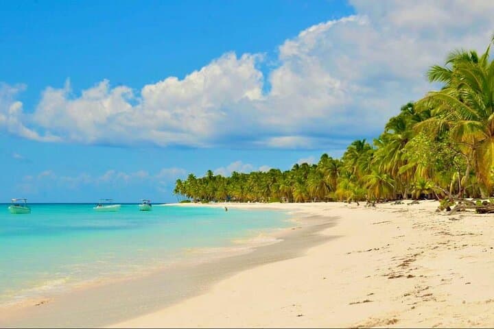 Saona Island Day Trip: Catamaran, Natural Pool & All-Inclusive Drinks photo 4