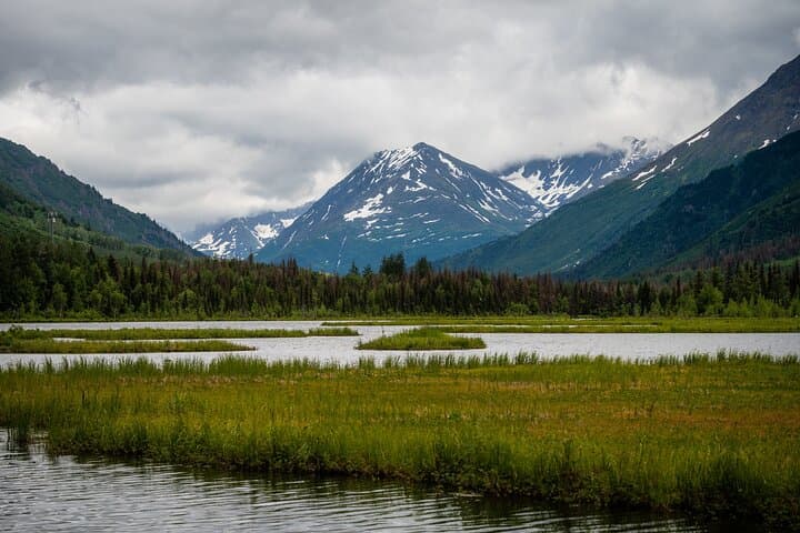 Exploring Alaska’s Turnagain Arm: Anchorage to Seward Cruise Transfer and Private Tour photo 5