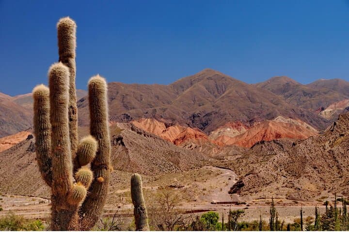 Calchaquí Valley & Cafayate: Route 68’s Red Cliffs and Torrontés Tasting photo 3