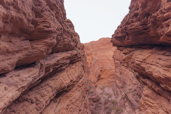 Calchaquí Valley & Cafayate: Route 68’s Red Cliffs and Torrontés Tasting photo 6