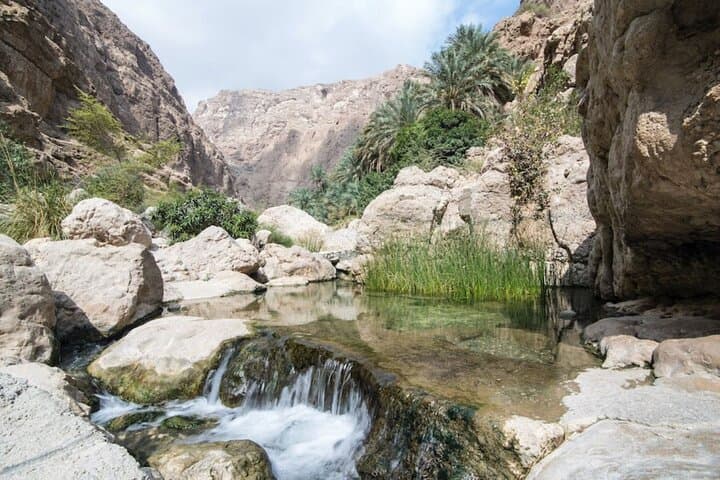 Oman’s East Coast Odyssey: Wadi Shab, Ras Al Jinz Turtles & Wahiba Sands in 2 Days photo 5