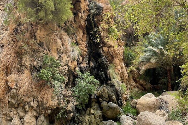 Oman’s East Coast Odyssey: Wadi Shab, Ras Al Jinz Turtles & Wahiba Sands in 2 Days photo 6