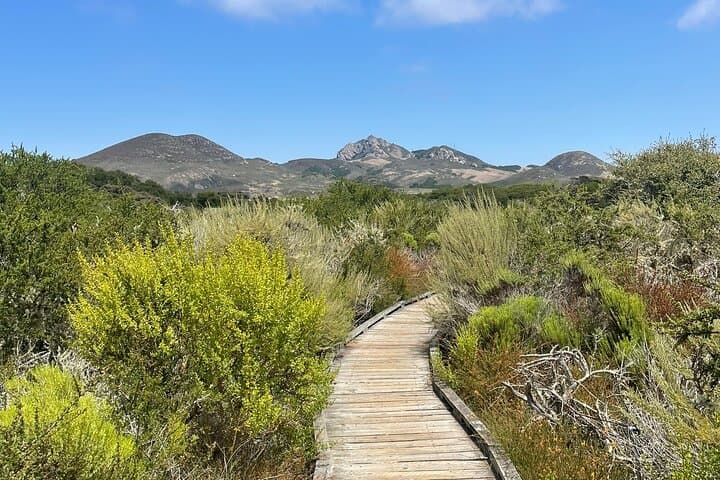 Elfin Forest Nature Tour with Local Tasting near Morro Bay