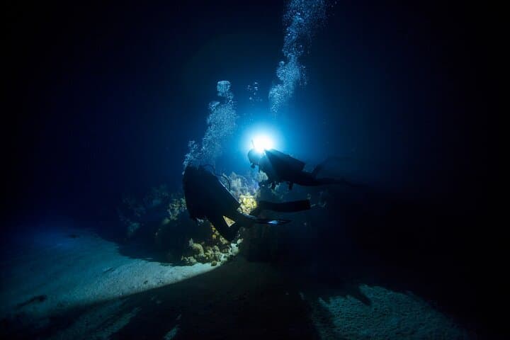 Night Dive Adventure in Oahu: Maunalua Bay Two-Tank After-Dusk Reef Dives