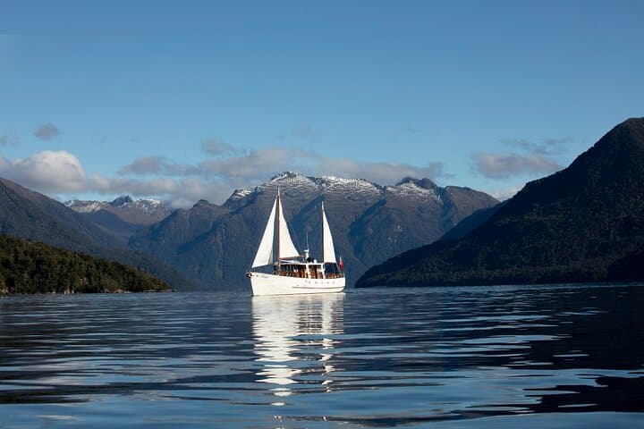 Te Anau Historic Motor Yacht Cruise & Guided Walk into South Fiord