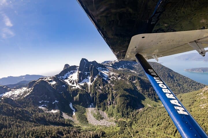 Whistler Glacier Spectacular: Floatplane Flightseeing Over Garibaldi and Black Tusk photo 6