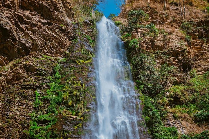 Wli Waterfall and Tafi Atome Monkey Sanctuary Day Tour — Hike, Wildlife & Culture photo 3