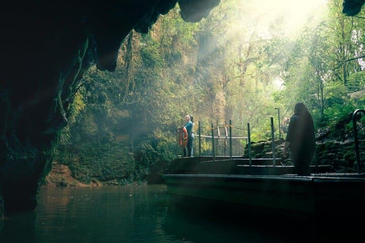 Auckland to Rotorua via Waitomo Glowworm Caves: Small-Group One-Way Tour Guide photo 1
