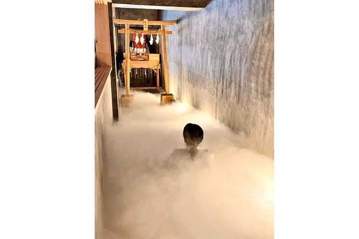 Cloud Meditation at Shiomi Ryugu Shrine: Tokyo Bay Guided Misogi Experience photo 5
