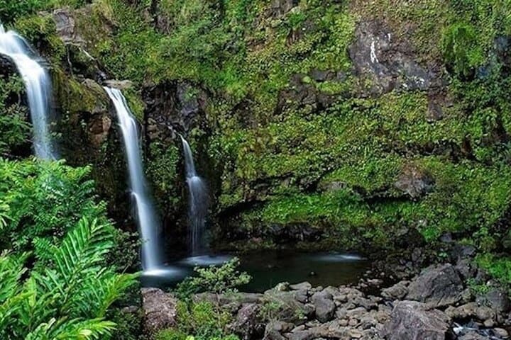 Road to Hana Deluxe Rainforest & Waterfall Experience — Hana Highway Day Tour from Oahu photo 2