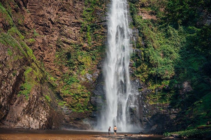 Wli Waterfall and Tafi Atome Monkey Sanctuary Day Tour — Hike, Wildlife & Culture photo 2