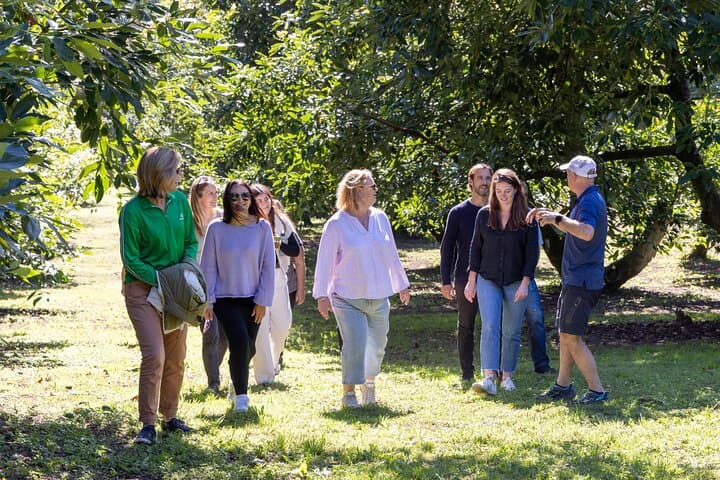 katikati-gourmet-avocado-tasting-orchard-tour-and-tasting photo 4