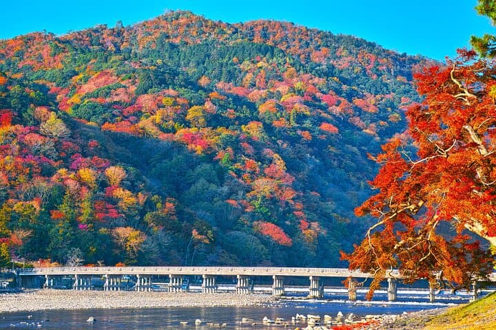 Arashiyama Fall Foliage Walking Tour: Private Autumn Walk Through Bamboo, Temples & Gardens