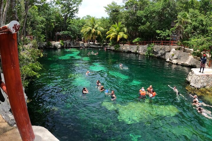 Cenotes Casa Tortuga: Swim Four Crystal Caverns Near Tulum photo 6