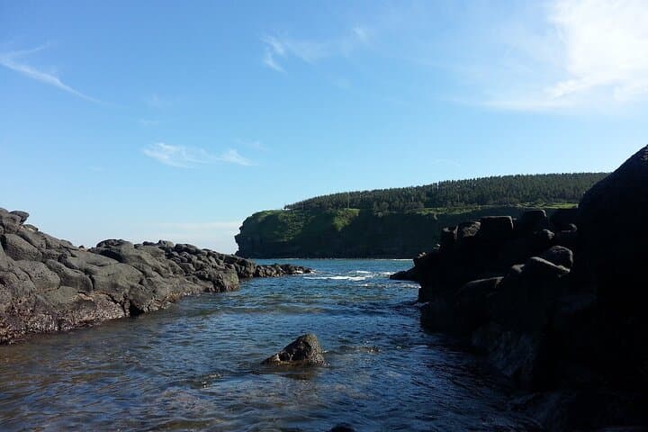 Exploring Jeju Island: Customized Private Tours of East, West & South Routes photo 6