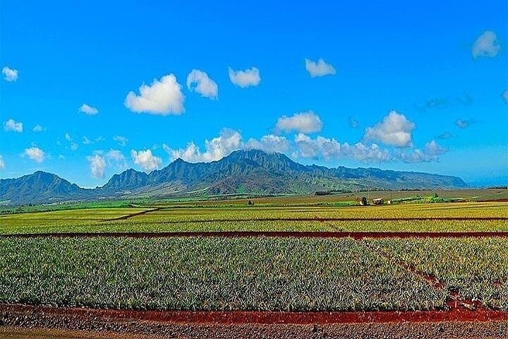 Oahu Grand Circle: Full-Day Island Tour from Maui to North Shore & Hanauma Bay
