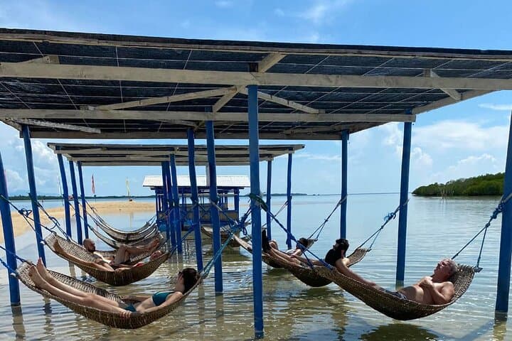 Honda Bay Island Hopping: Cowrie, Starfish & Luli Islands from Puerto Princesa photo 3