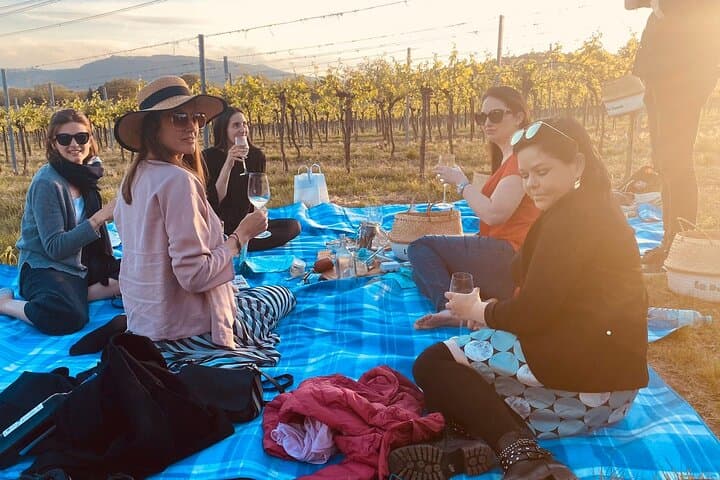 Private Wine Picnic in Vienna's Vineyards — Ape Ride & Organic Snacks photo 5