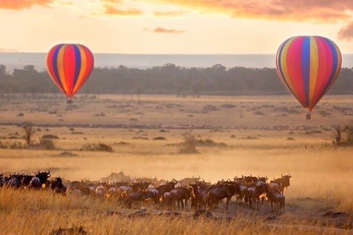 12-Day Kenya and Tanzania Safari: Masai Mara to Serengeti Camping Adventure photo 3