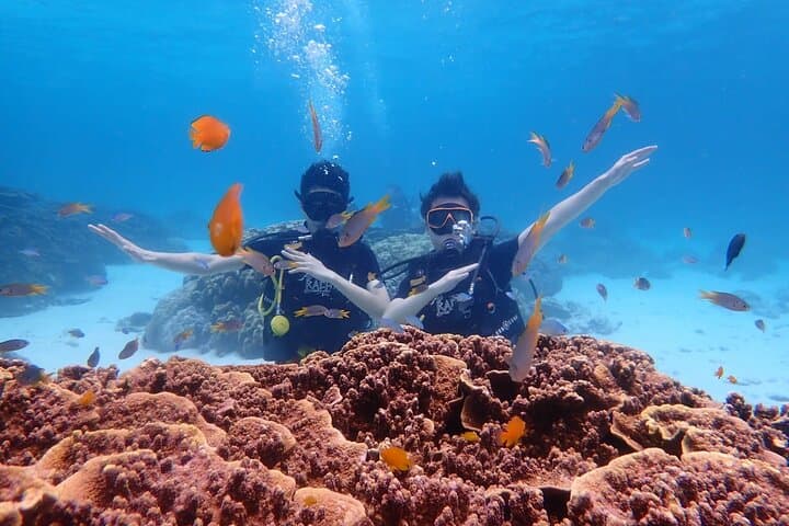 One-Day Scuba Diving at Ko Racha – Full-Day Beginner-Friendly Dive Trip from Phuket photo 5