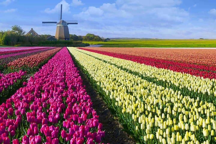 Half-Day Private Tour to Zaanse Schans, Edam, Volendam & Marken from Amsterdam
