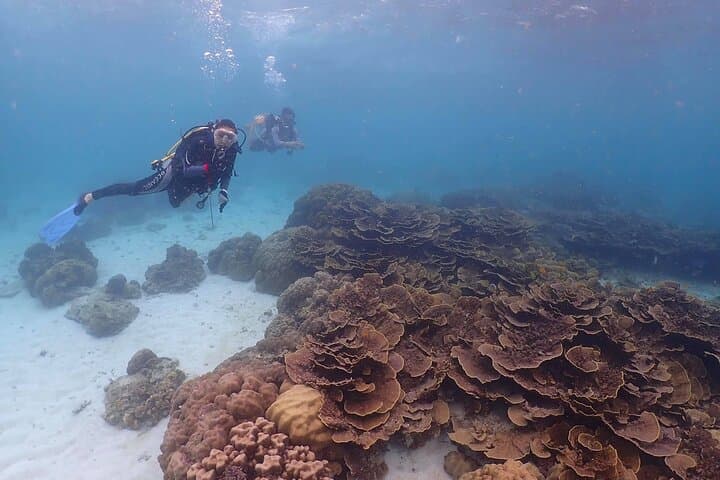 Scuba Diving at Racha: Coral Reefs, Photos & Beginner-Friendly Dives photo 2