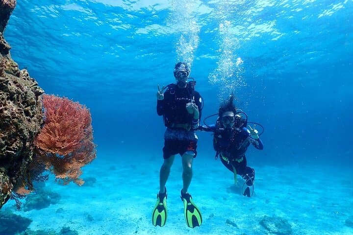 Scuba Diving at Racha: Coral Reefs, Photos & Beginner-Friendly Dives photo 6