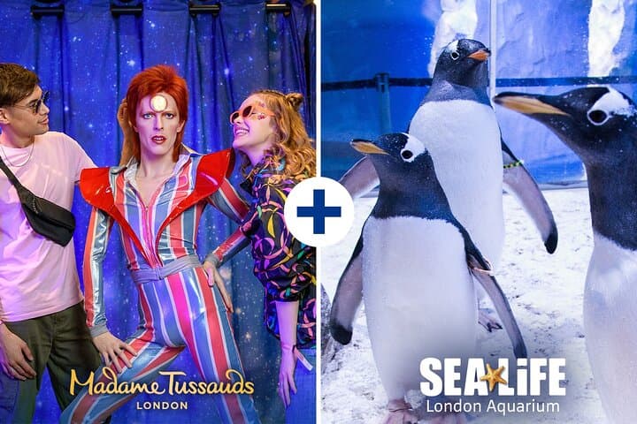 Madame Tussauds & SEA LIFE London Aquarium Combo Ticket Guide