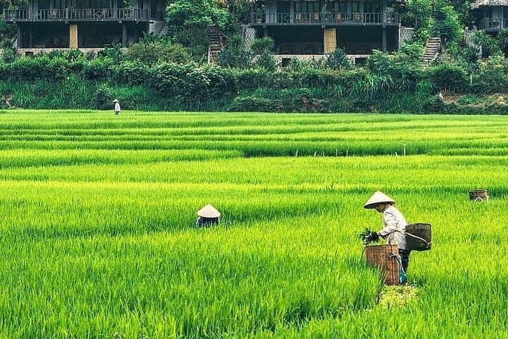 Mai Chau Day Trip: Best Bike Tour to Hidden Villages & Rice Valleys from Hanoi photo 4