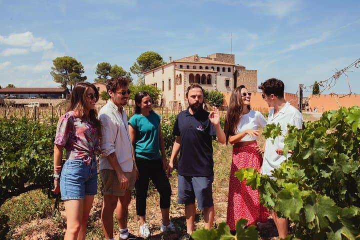 Montserrat Monastery and Oller del Mas Winery: Full-Day Tour from Barcelona photo 2